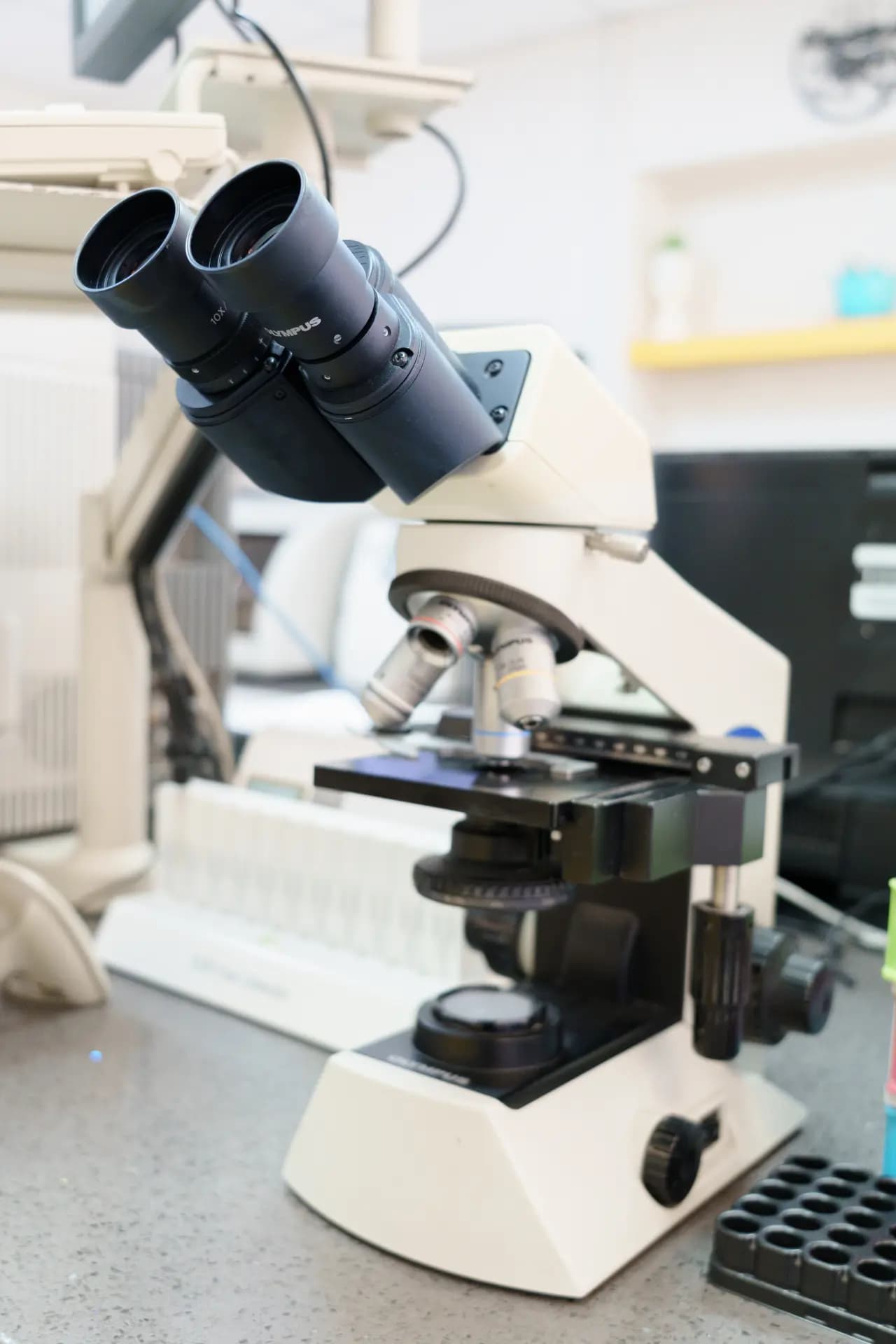 Nis Clinic laboratuvar — mikroskobik inceleme