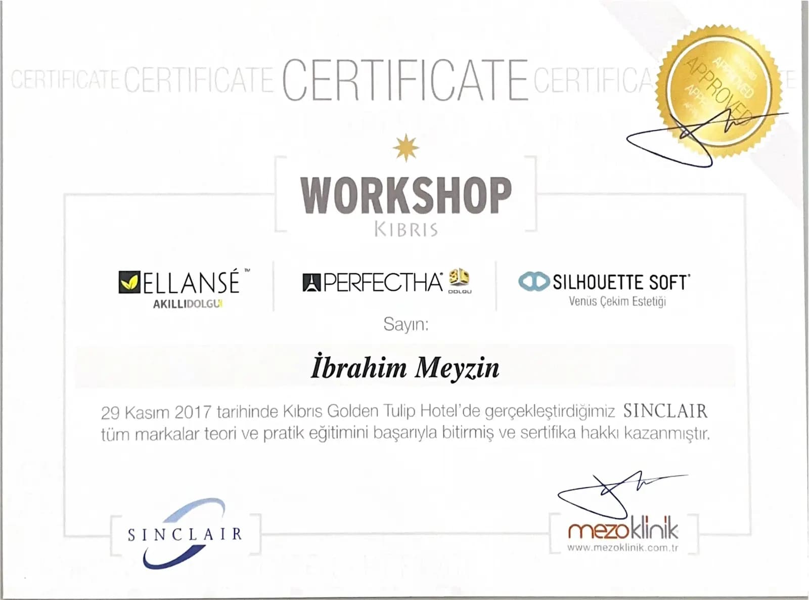 Sinclair Workshop sertifikası — Ellansé Perfectha Silhouette Soft 2017