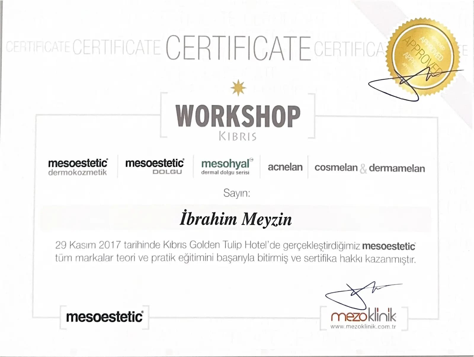 Mesoestetic Workshop sertifikası — Mezoklinik 2017